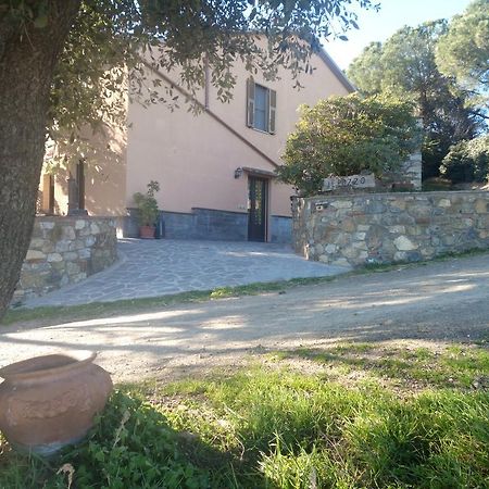 Agriturismo il Pozzo Campagnatico Esterno foto